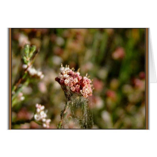 Cartão Belo sangramento (Frente horizontal)