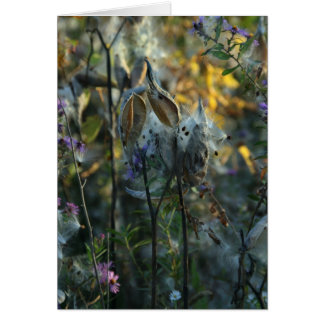 Cartão Belo Sonhador