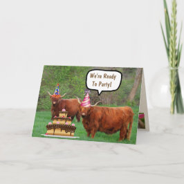 Cartão Belo Steer e Bolo Aniversário