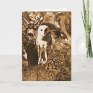 Cartão Belo Vazio de animais selvagens