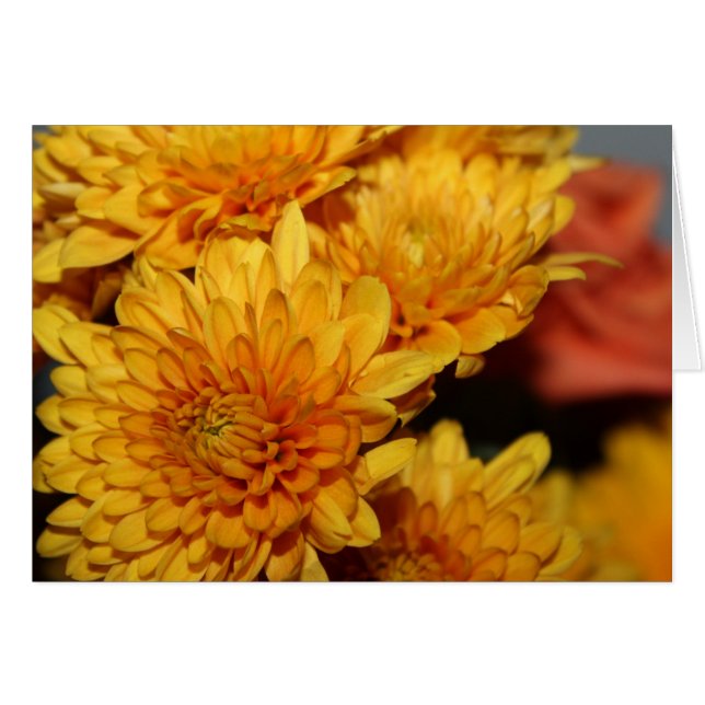 Cartão Belos Flores de Queda (Frente horizontal)