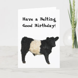 Cartão Belting Good Birthday Belted Galloway Beltie Cow