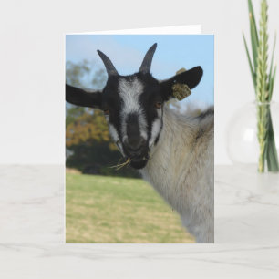 Cartão Bem, Olá Lá