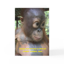 Bênção do Dia de as mães Especial