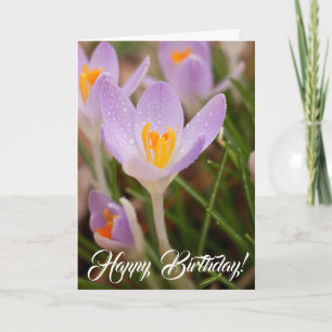 Cartão Bênçãos de Aniversário Crocus