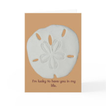 Bênçãos de Verdadeiros Amigos e Dólar