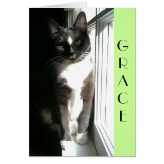 Cartão Benevolência