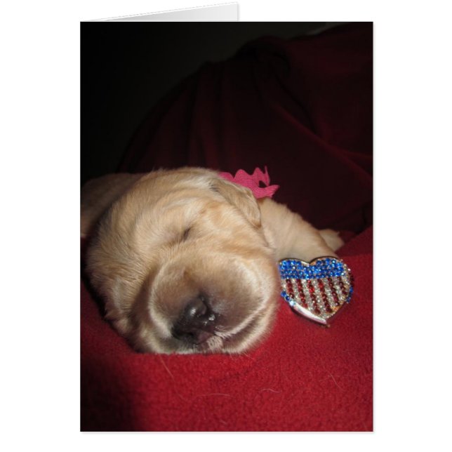 Cartão Benevolência patriótica (Frente)