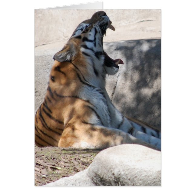 Cartão Bengal Tiger Love (Frente)