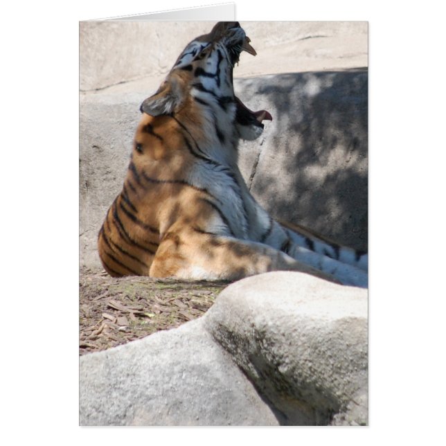 Cartão Bengal Tiger Love (Frente)