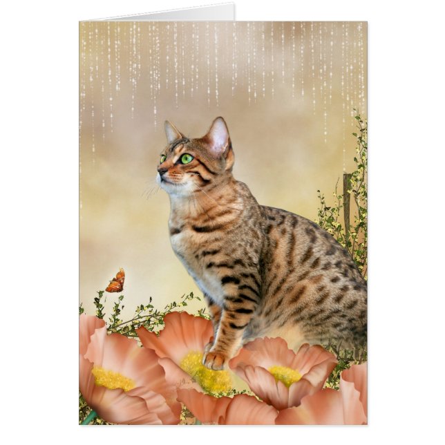 Cartão Bengala Rainy Day (Frente)