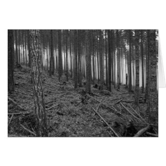 Cartão Benson Meadows