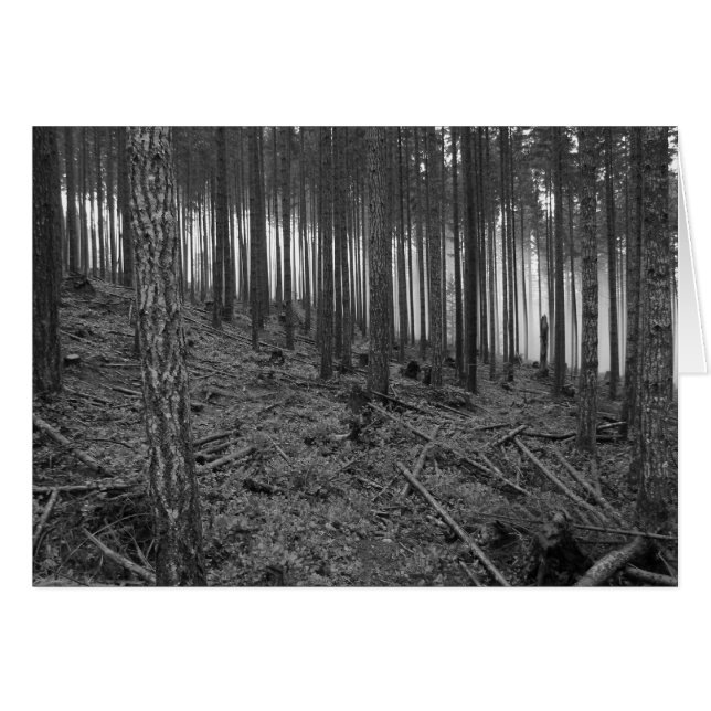 Cartão Benson Meadows (Frente Horizontal)