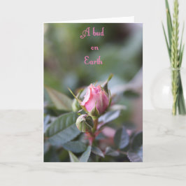 Cartão Bereavement card, rose bud