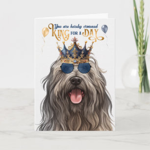 Cartão Bergamasco Dog King para o dia feliz aniversário
