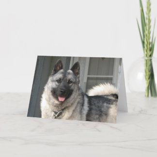 Cartão Bergen smiling