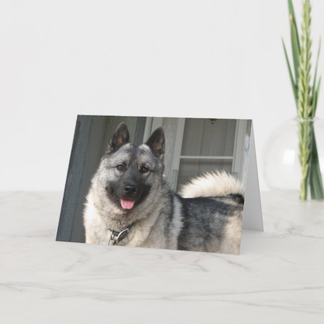 Cartão Bergen smiling (Frente)