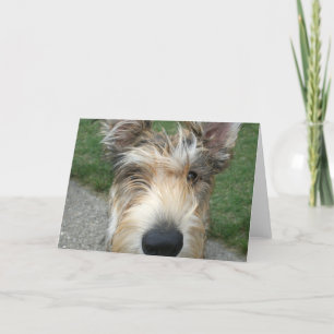 Cartão Berger de Picard