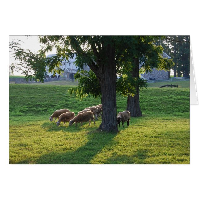 Cartão Berks County, Pensilvânia (Frente horizontal)