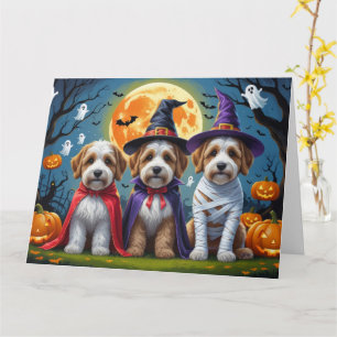 Cartão Bernedoodle Dogs Pumpkin Halloween Engraçado
