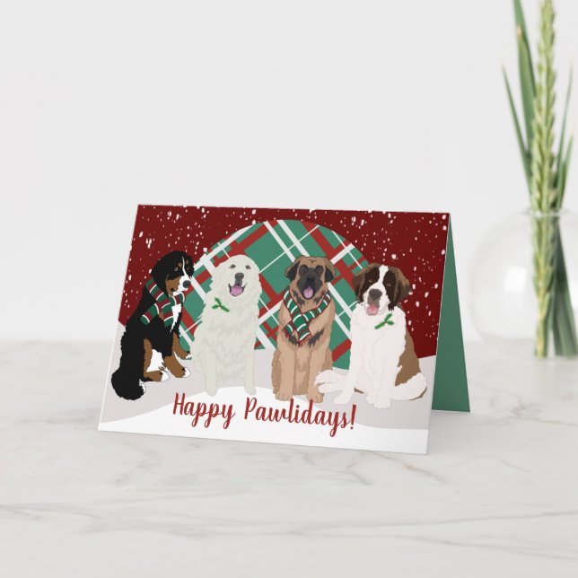 Cartão Bernese Leonberger Excelente Pirenéus Rua Bernard (Frente)