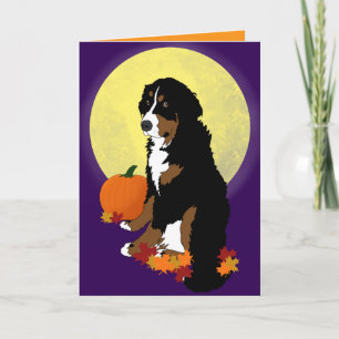 Cartão Bernese Mountain Dog outono