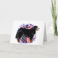 Bernese Mountain Dog Patriot
