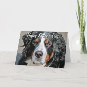 Cartão Bernese Mountain Dog Photo Image Happy Father's Da