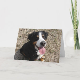 Cartão Bernese Mountain Dog Sorri