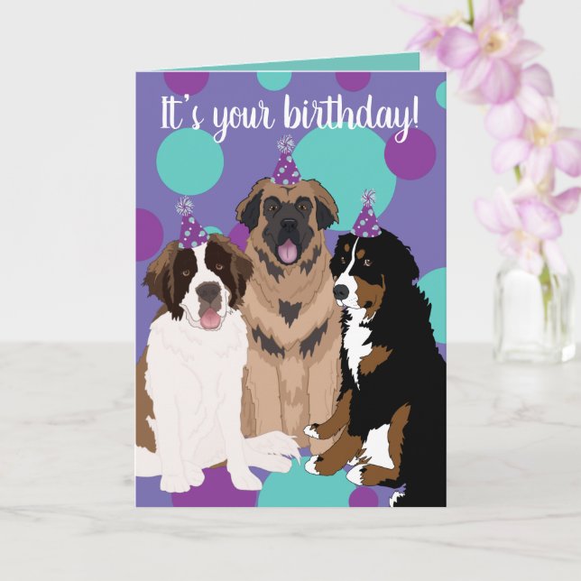 Cartão Bernese, Santo Bernard, Leonberger Birthday (Orquídea)
