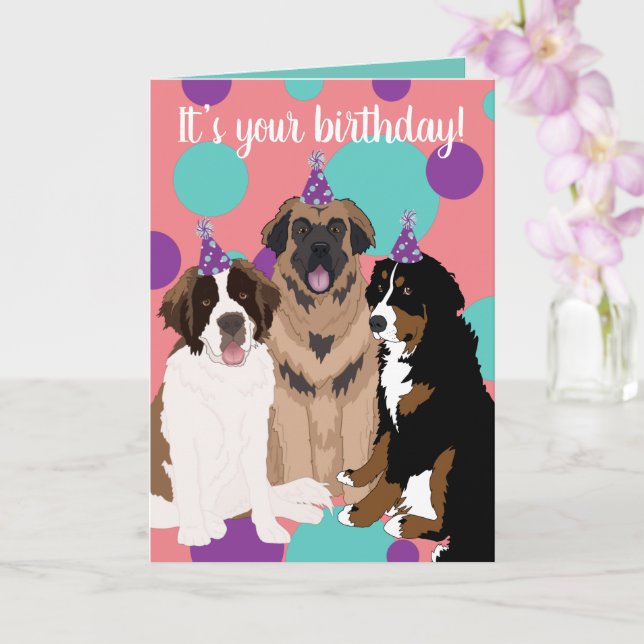 Cartão Bernese, Santo Bernard, Leonberger Birthday (Orquídea)