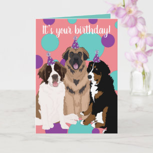 Cartão Bernese, Santo Bernard, Leonberger Birthday