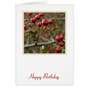 Cartão Berries Birthday Card