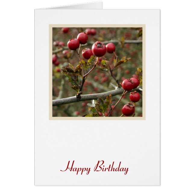 Cartão Berries Birthday Card (Frente)