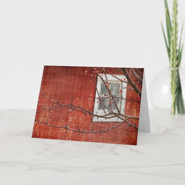 Cartão Berries e Barn, Aniversário (Frente)