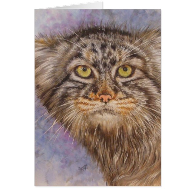 Cartão Berry's Pallas Cat (Frente)