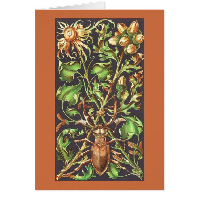 Cartão Besouro Corado em Castanho (Frente)
