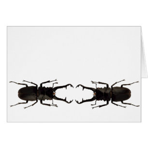 Cartão Besouro de Stag