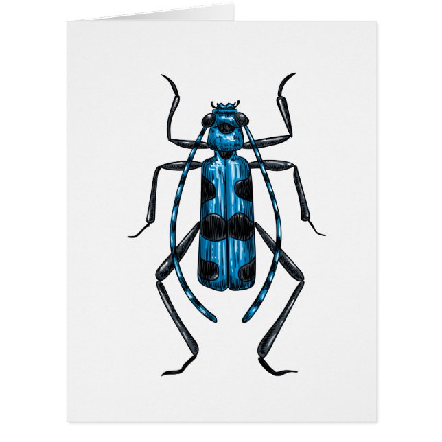 Cartão besouro Rosalia Alpina (Frente)