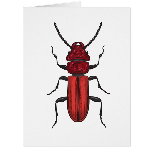Cartão Besouro-vermelho (Frente)