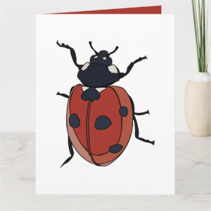 Cartão Besouros Inseto Joaninha Besouros
