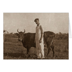 Cartão Bessie a vaca