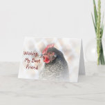 Cartão Best Friend Chicken Birthday Card<br><div class="desc">This birthday card features a cuckoo maran chicken and a wish to a best friend for all the happiness life can bring.</div>