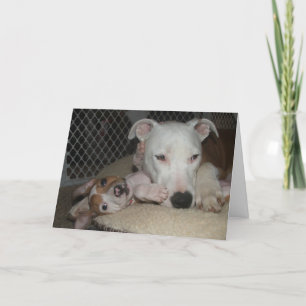 Cartão Best Friends...