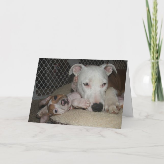 Cartão Best Friends... (Frente)