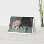 CARTÃO BEST FRIENDS FOREVER BIRTHDAY WISHES FROM PUPS<br><div class="desc">A NICE CARD TO SEND TO YOUR BEST FRIEND FOR HIS OR HER BIRTHDAY!!!</div>