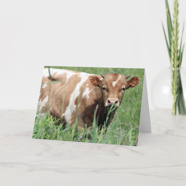 Cartão Betsy, Olá. (Frente)