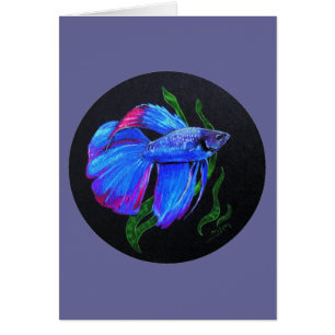 Cartão BETTA!!! Peixes de combate Siamese