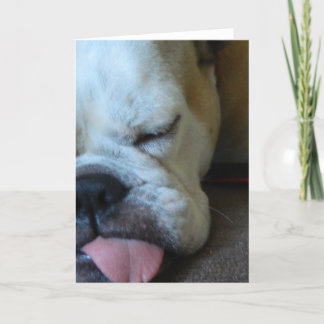 Cartão Bettie Bulldog sleepy greeting card