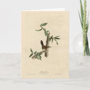 Cartão Bewick's Wren from Audubon's Birds of America